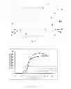 Fig. 02 - HOMEOTROPIC ALIGNMENT LIQUID CRYSTAL DISPLAY AND MANUFACTURING METHOD THEROF