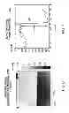 Fig. 07 - Quantitative phase microscopy for label-free high-contrast cell imaging