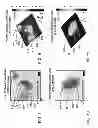 Fig. 08 - Quantitative phase microscopy for label-free high-contrast cell imaging