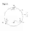 Fig. 07 - Water-coupled underwater node for seismic surveys