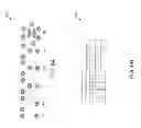 Fig. 07 - Methods for discovering and analyzing network topologies and devices thereof