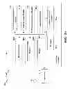 Fig. 24 - Reference signals design for time tracking in LTE-A