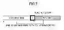 Fig. 07 - Base station apparatus, user equipment, and communication control method in mobile communication system