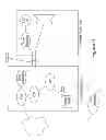 Fig. 07 - METHOD AND APPARATUS FOR INFORMATION EXCHANGE BETWEEN MULTIMEDIA COMPONENTS FOR THE PURPOSE OF IMPROVING AUDIO TRANSDUCER PERFORMANCE