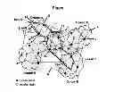 Fig. 02 - Signaling protocol for multi-domain optical networks