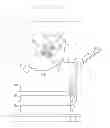 Fig. 02 - IMAGE FORMING APPARATUS