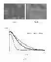 Fig. 07 - Microfluidic capsule
