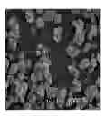 Fig. 01 - Calcium carbonate having a surface charge, the preparing process thereof and filler for producing a paper using the same