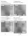 Fig. 02 - FOAMABLE VEHICLE AND PHARMACEUTICAL COMPOSITIONS THEREOF
