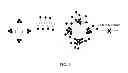 Fig. 02 - COMPOSITIONS AND METHODS FOR INHIBITING VIRAL AND BACTERIAL ACTIVITY