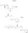 Fig. 08 - COMPOSITIONS AND METHODS FOR INHIBITING VIRAL AND BACTERIAL ACTIVITY