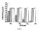 Fig. 04 - IMMUNOTHERAPY FOR REVERSING IMMUNE SUPPRESSION