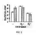 Fig. 09 - IMMUNOTHERAPY FOR REVERSING IMMUNE SUPPRESSION