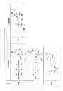 Fig. 35 - Substituted nucleotide analogs