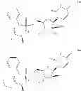 Fig. 49 - Substituted nucleotide analogs