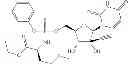 Fig. 52 - Substituted nucleotide analogs
