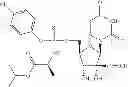 Fig. 80 - Substituted nucleotide analogs