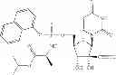 Fig. 82 - Substituted nucleotide analogs