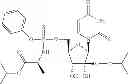 Fig. 89 - Substituted nucleotide analogs
