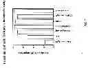 Fig. 09 - Antibody induced cell membrane wounding