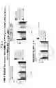 Fig. 05 - Bispecific binding agents