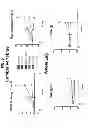 Fig. 06 - Bispecific binding agents