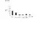 Fig. 43 - Immuno-Modulating Compositions for the Treatment of Immune-Mediated Disorders