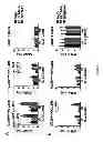 Fig. 09 - Compositions and methods for treating autoimmune and inflammatory disorders