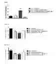Fig. 13 - Anti-diabetic compounds