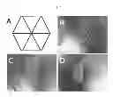 Fig. 08 - PLATFORM FOR ENGINEERED IMPLANTABLE TISSUES AND ORGANS AND METHODS OF MAKING THE SAME