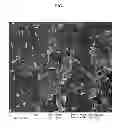 Fig. 02 - Luminescent nanostructured materials for use in electrogenerated chemiluminescence