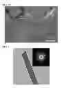 Fig. 03 - Luminescent nanostructured materials for use in electrogenerated chemiluminescence