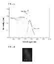 Fig. 05 - Luminescent nanostructured materials for use in electrogenerated chemiluminescence