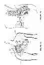 Fig. 09 - NEGATIVE-LIMITED LITHIUM-ION BATTERY