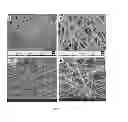 Fig. 02 - Polymide blend nanofiber and its use in battery separator