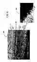 Fig. 06 - CARBON BASED ELECTROCATALYSTS FOR FUEL CELLS