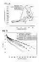 Fig. 16 - CARBON BASED ELECTROCATALYSTS FOR FUEL CELLS
