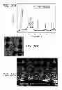 Fig. 17 - CARBON BASED ELECTROCATALYSTS FOR FUEL CELLS