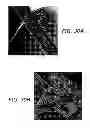 Fig. 26 - CARBON BASED ELECTROCATALYSTS FOR FUEL CELLS