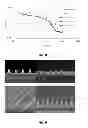 Fig. 06 - EUV photoresist encapsulation