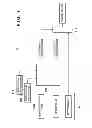 Fig. 08 - Drawing apparatus, and method of manufacturing article