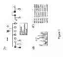 Fig. 02 - Methods for Assessing Risk for Cardiac Dysrythmia in a Human Subject