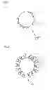 Fig. 02 - CARRIER POLYMER PARTICLE, PROCESS FOR PRODUCING THE SAME, MAGNETIC PARTICLE FOR SPECIFIC TRAPPING, AND PROCESS FOR PRODUCING THE SAME