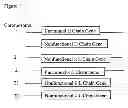 Fig. 02 - Compositions and methods including recombinant B lymphocyte cell line including an exogenously incorporated nucleic acid expressing an exogenous membrane immunoglobulin reactive to a first antigen and including an endogenous gene expressing an endogenous secreted immunoglobulin reactive to a second antigen
