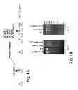 Fig. 02 - METHODS AND COMPOSITIONS FOR INACTIVATING GLUTAMINE SYNTHETASE GENE EXPRESSION