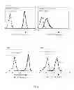 Fig. 03 - Fucosylation-deficient cells