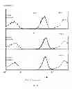 Fig. 04 - Fucosylation-deficient cells