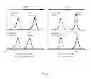 Fig. 06 - Fucosylation-deficient cells