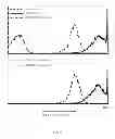 Fig. 08 - Fucosylation-deficient cells
