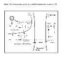 Fig. 02 - Compositions and Methods for the Delivery of Biologically Active RNAs